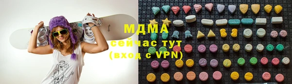 прущие грибы Бородино