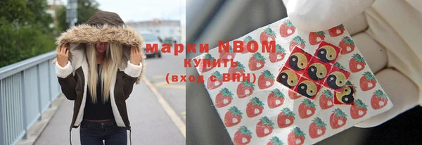 прущие грибы Бородино