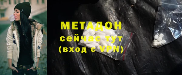 прущие грибы Бородино