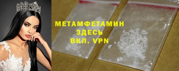 прущие грибы Бородино