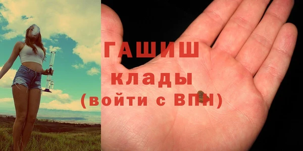 прущие грибы Бородино