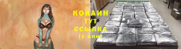 тгк Бронницы