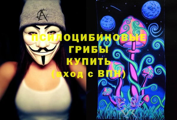 тгк Бронницы