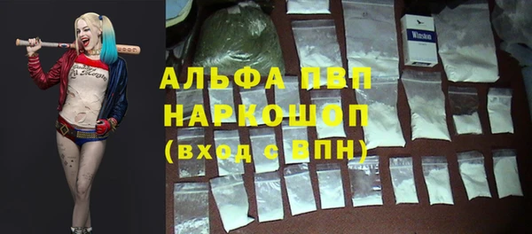прущие грибы Бородино