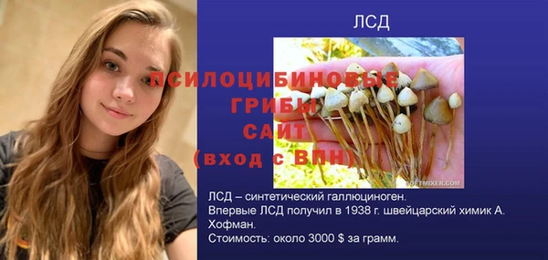 прущие грибы Бородино
